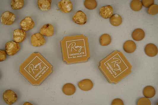 L’Instant Doux (The Sweet Moment) Remy Chocolate